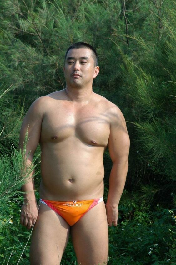 Asia bear