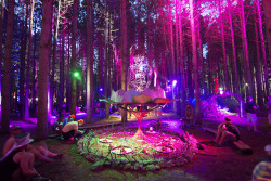 hippierev0luti0n:  electric forest buddha