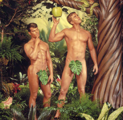 Adam And St Eve