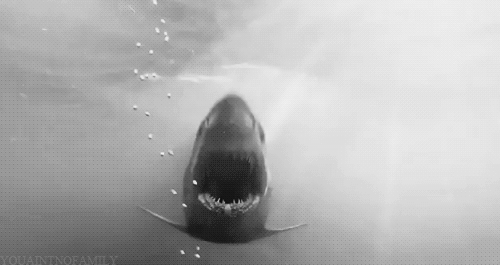 If we was living underwater I would be a shark