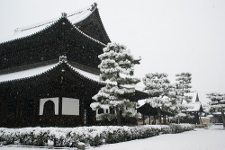 orchestratedespair:  kinyoubi 雪の建仁寺