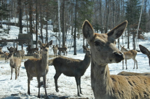 Audience by M. Rehemtulla, Canada 2011 via: adult photos