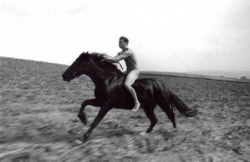 Ride