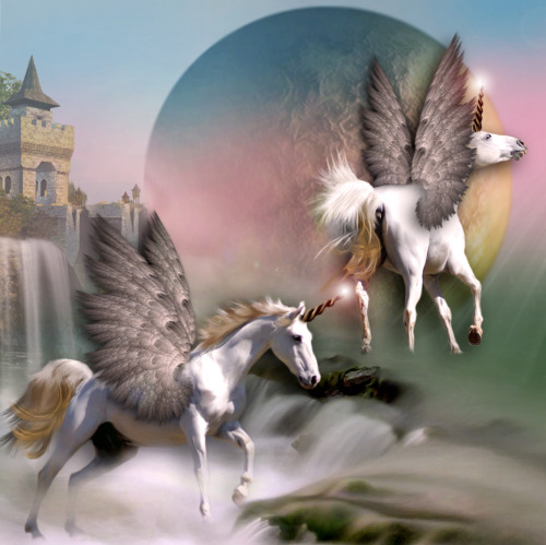 Province Enchantia
