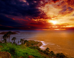 Sweet Escape