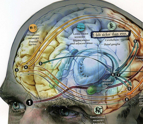 f&mdash;you:  cutesmokemachine:  psychology &lt;3  can’t wait to study