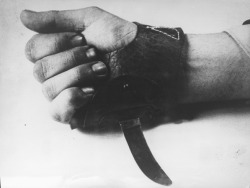 ovate:  An agricultural knife nicknamed “Srbosjek” (“Serbcutter”), strapped to the hand. It was used by the Ustaše militia for the speedy killing of inmates at Jasenovac 