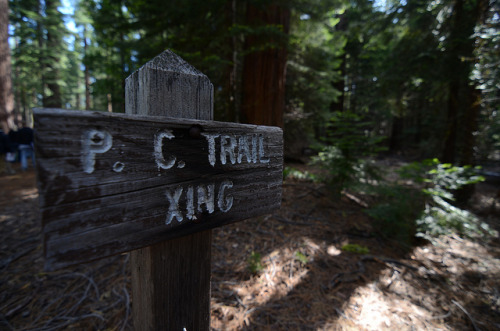 DSC_4555 on Flickr. pacific coast trail xing, somewhere near donner pass. taken with d700