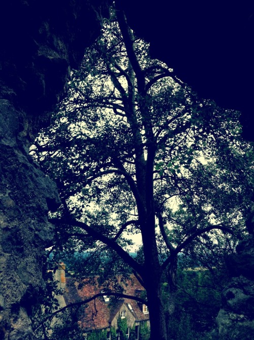 Sutton Valence Castle, Kent