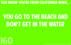 werenotreallyhere:  youknowyourefromcaliforniawhen:  submitted by rebel-moon.  LOL GPOY SO HARD WHAT EVEN IS WATER AND WHY DO PEOPLE LIKE IT SO MUCH  BECAUSE THE WATER IS LIKE 100 DEGREES COLDER THAN THE COLD BEACHES!!