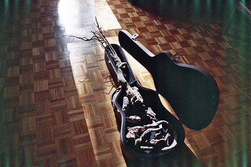 vileallure:  (by árbore)