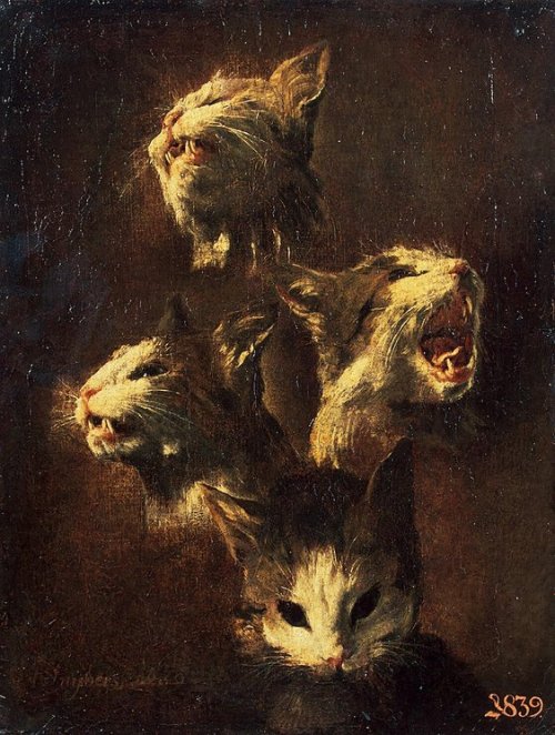 Frans Snyders / Study of a Cat’s Head (1609)