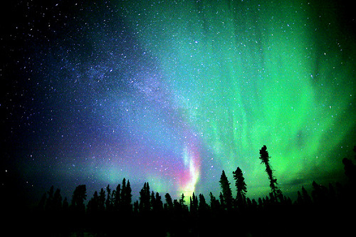 nemus:  Light Zones (by David Cartier) 