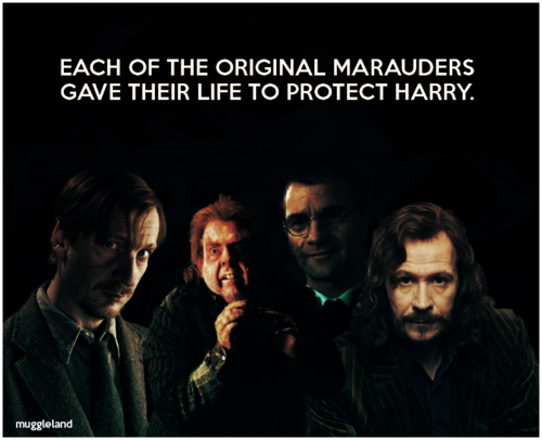 muggleland:James:  Dies protecting Harry from Voldemort.Sirius:  Dies after protecting Harry from th