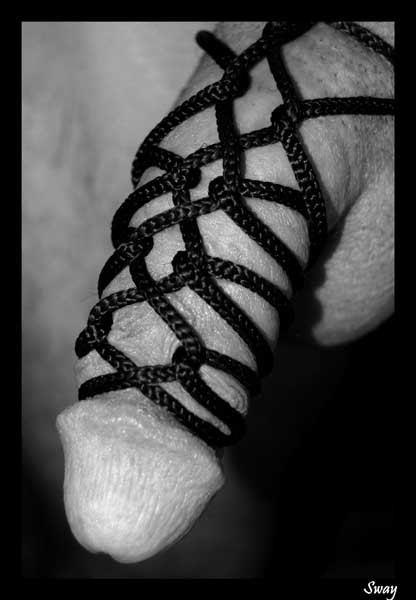 thekinkyswitch:  malesubimagery:  for reference - for later  Must try this asap!