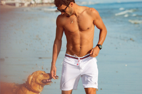 beach &amp; dog