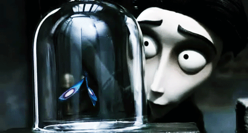 We all live in a yellow submarine