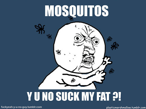 Y U NO Face - Mosquitos