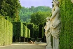 ruedamour:  lovely—delight:      Jardin de Versailles, Versailles, France    