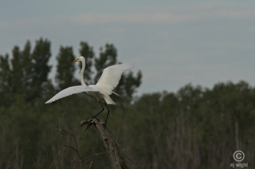 Take Off!