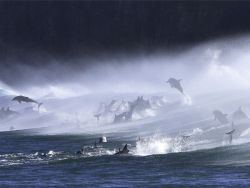 nationalgeographicdaily:  Bottlenose Dolphins in Surf Photograph by Andrew Wong Dolphins are known to jump out the back of big waves as they break against the shores.  This pod of bottlenose dolphins was leisurely surfing in the waves as the offshore