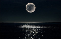 dreaminowls:  this. is gorgeous  my love for the moon is undying.