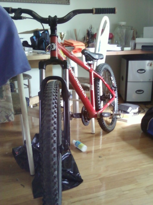 mtbislife: This is my park bike <3*Edit* I have different pedals on right now :$ 