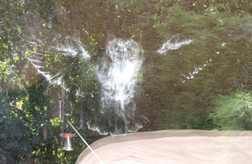 highcaloriethoughts:  faceandembrace:  thedailywhat:  Well This Is Something You Don’t See Every Day of the Day: An owl that crashed into Sally Arnold home in Kendal, Cumbria, left a Patronus-like imprint on her window. Said Arnold: “Our first concern