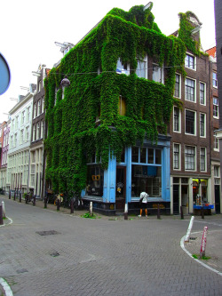 urbangreens:  Optician’s building, Amsterdam