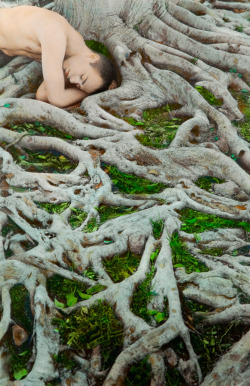 Self Portrait with Roots, Los Angeles, 2008 by Youssef Nabil