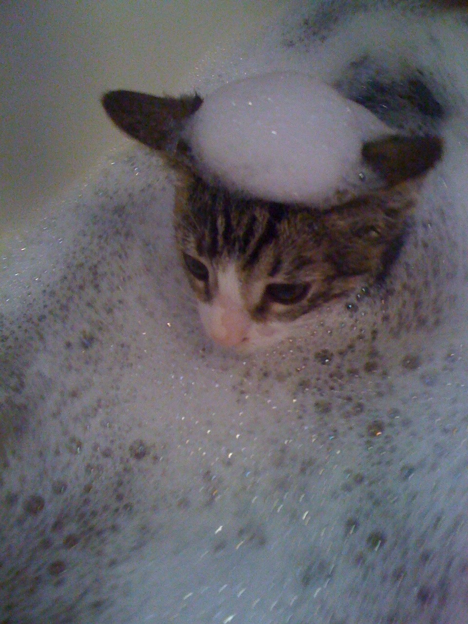 keeeisy:  Just taking a bubble bath. 