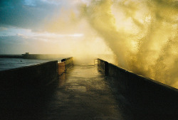 panthershark:  brighton marina wall (by lomokev)