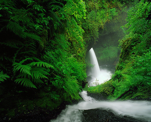 What can Green do for you? (by Zeb Andrews)