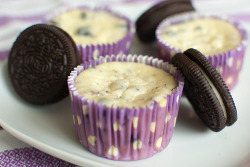 gastrogirl:  oreo cookies and cream cheesecakes.
