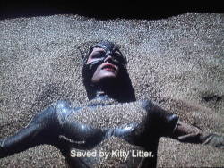 deepbreathsanddeath:  Saved by kitty litter.