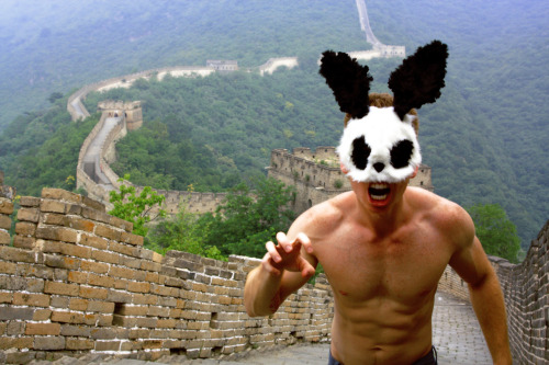 XXX Panda Rabbit - Great Wall of China - China photo