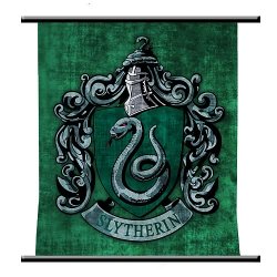 I&rsquo;m a Slytherin girl! 