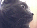 When my mom is bitchin'