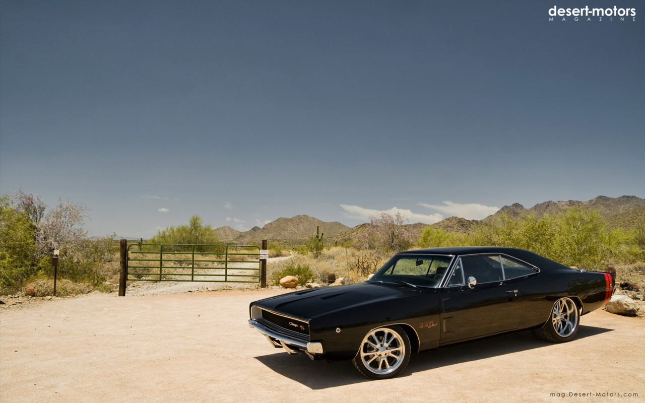 Dodge charger hot girls