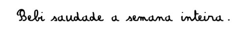 Codinome beija-flor