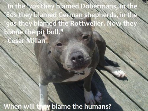 wholmesianmisfit: THIS THIS AND THIS ALL OVER SO MUCH THIS.