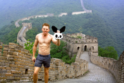 Panda Rabbit (Unmasked) - Great Wall of China