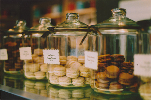 cupofcoffee:  10 by seaofbirds on Flickr.