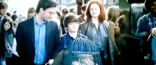  Albus Severus Potter: Mas papai, se eu for para Sonserina ? Harry Potter: Filho, seu nome é composto de Diretores de Hogwarts, um deles foi da Sonserina, Severus Snape.. Ele foi o homem mais corajoso que já conheci ! 