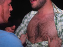 nipplepigs.tumblr.com post 20340090061