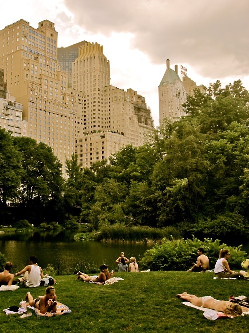 New York Obsession • Central Park South