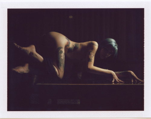 krystakaos:  reneeruinseverything:  Supercult X krysta kaos (NSFW)  I need to shoot with Nathan again and i would love to finally shoot with Chase :) 