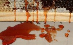 mesogeios:  Red honey as a result of bees