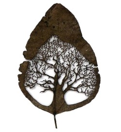 ordovicianfauna:  Leaf art by Lorenzo Duran 