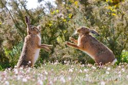 magicalnaturetour:  Photographer Paul &amp; Ryan Edwards :) 